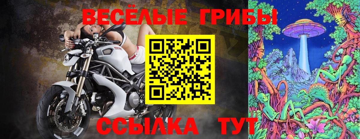Нижнеудинск  Галлюциногенные грибы Cubensis  Вход с VPN  Галлюциногенные грибы ЛСД 
